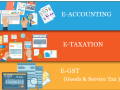 accounting-course-in-delhi-110005-sla-accounting-institute-taxation-and-tally-prime-institute-in-delhi-noida-new-year-offer2025-small-0