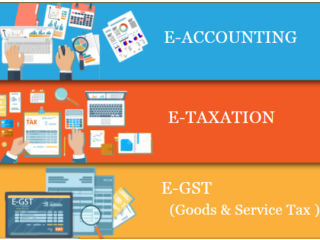 Accounting Course in Delhi, 110005 SLA Accounting Institute, Taxation and Tally Prime Institute in Delhi, Noida, New Year Offer'2025