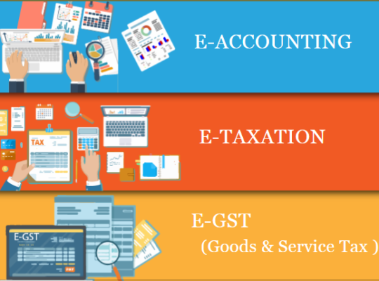 accounting-course-in-delhi-110005-sla-accounting-institute-taxation-and-tally-prime-institute-in-delhi-noida-new-year-offer2025-big-0